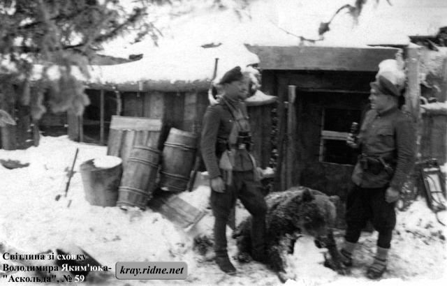 59. Володимир Яким’юк-“Аскольд” і Василь Білінчук-“Сибіряк” з ведмедем на фоні партизанської криївки. 59. Володимир Яким’юк-“Аскольд” і Василь Білінчук-“Сибіряк” з ведмедем на фоні партизанської криївки.
