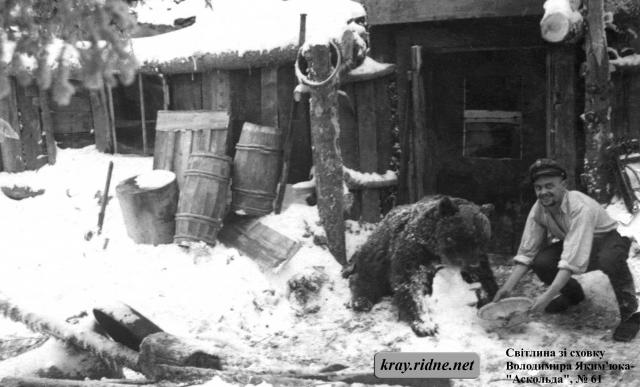 61. Микола Харук-“Вихор” годує ведмедя. 61. Микола Харук-“Вихор” годує ведмедя.